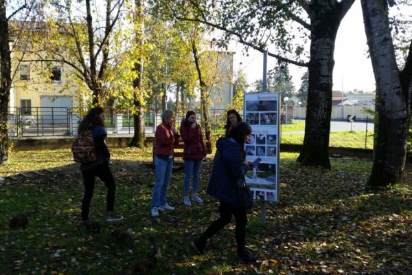 Formazione, scuola, provincia di bergamo